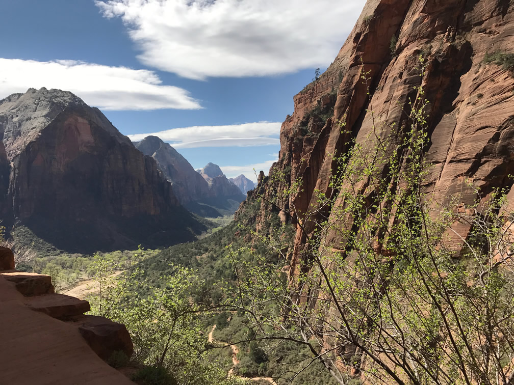 Zion National Park from Angels Landing Trail