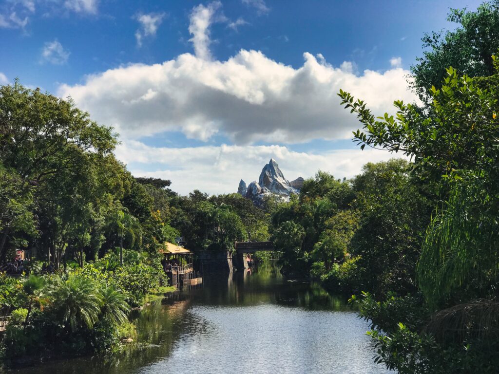 Disney World Animal Kingdom